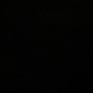 Meet your Posher, Scarlett